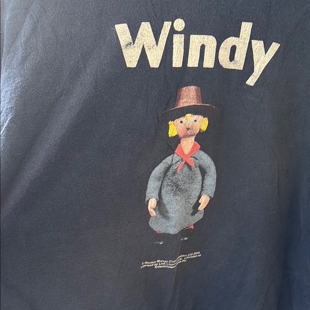 Vintage Windy Miller T